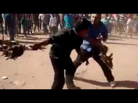 Impactante riña entre hombres y gallos en México