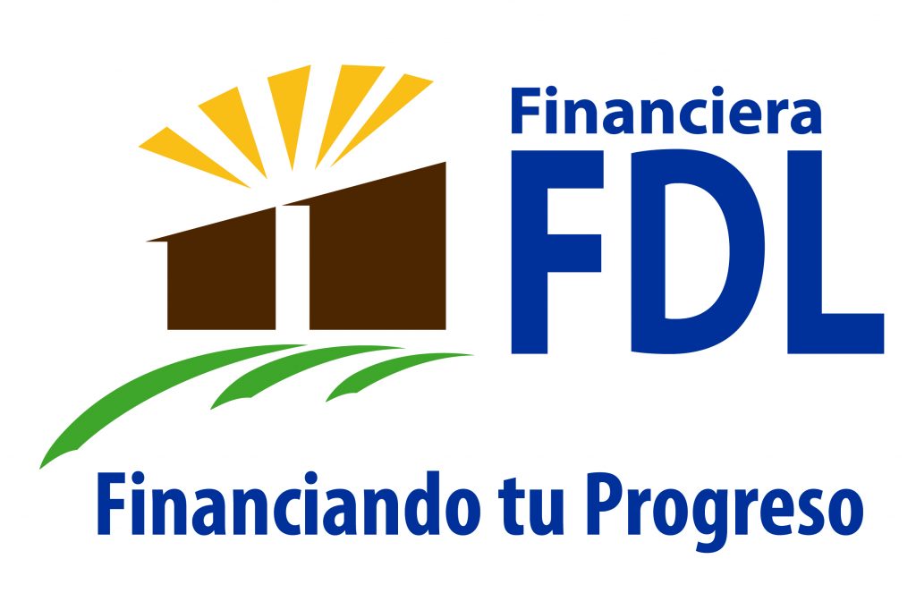 logo fdl