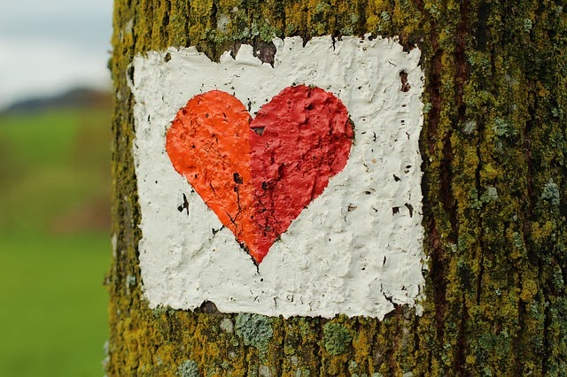 fotografia-corazon-pintado-arbol