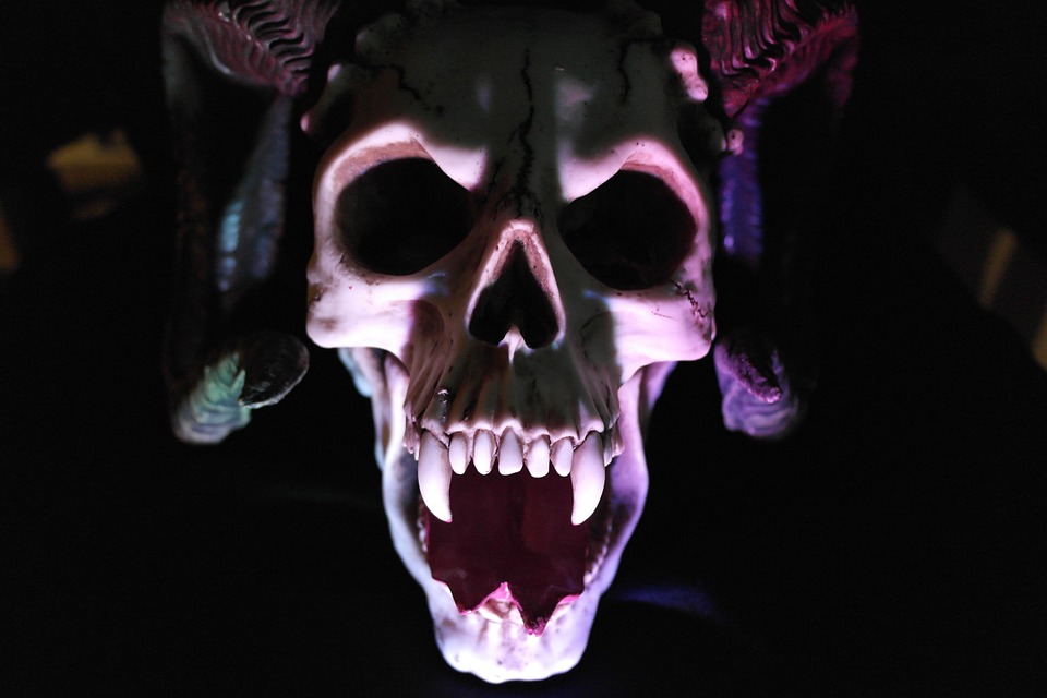 skull-535745_960_720