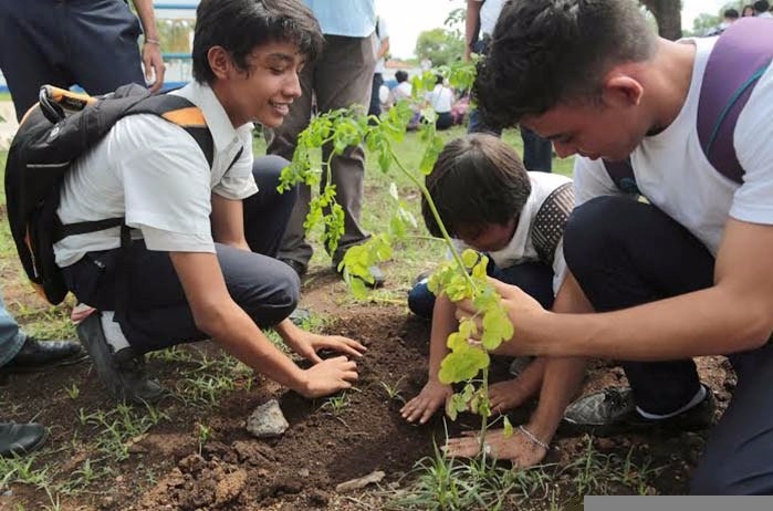 juventud-sembrara-650-mil-plantas-en-este-octubre-victorioso