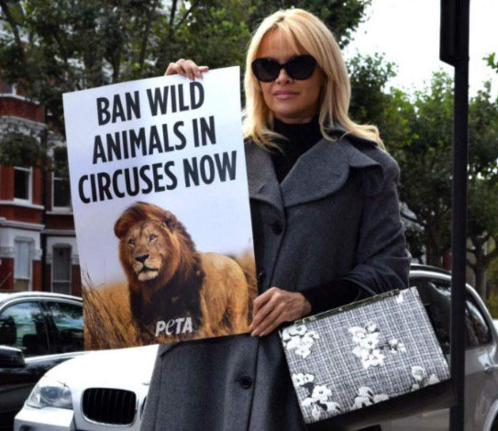 la-exhuberante-pamela-anderson-hace-campana-para-prohibir-los-animales-en-circos