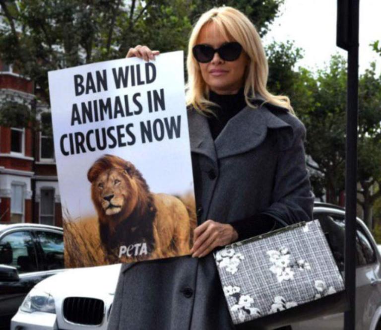 La exhuberante Pamela Anderson hace campaña para prohibir los animales en circos