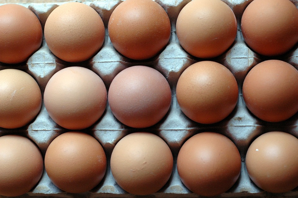 eggs-1668881_960_720