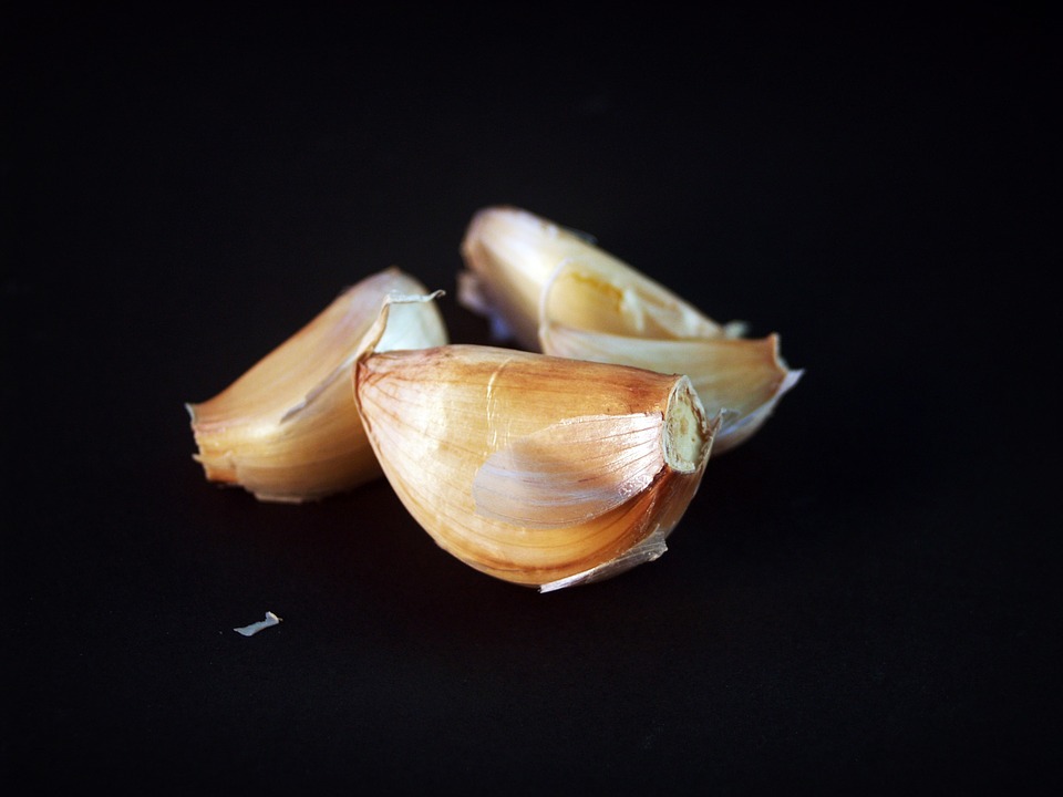 garlic-1549304_960_720