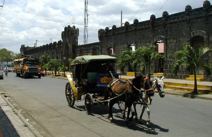 masaya-caballos