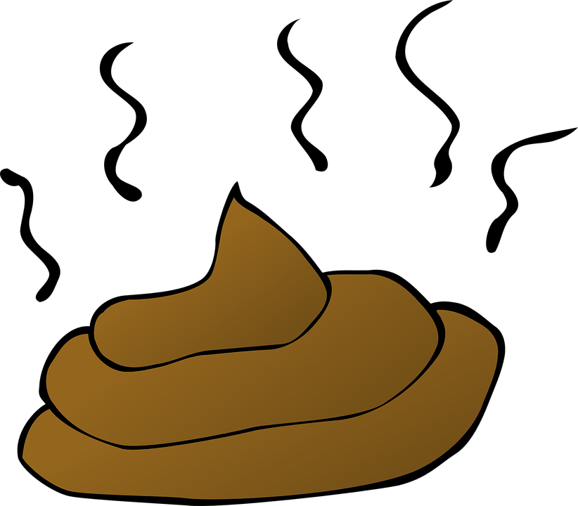 poop-34629_960_720