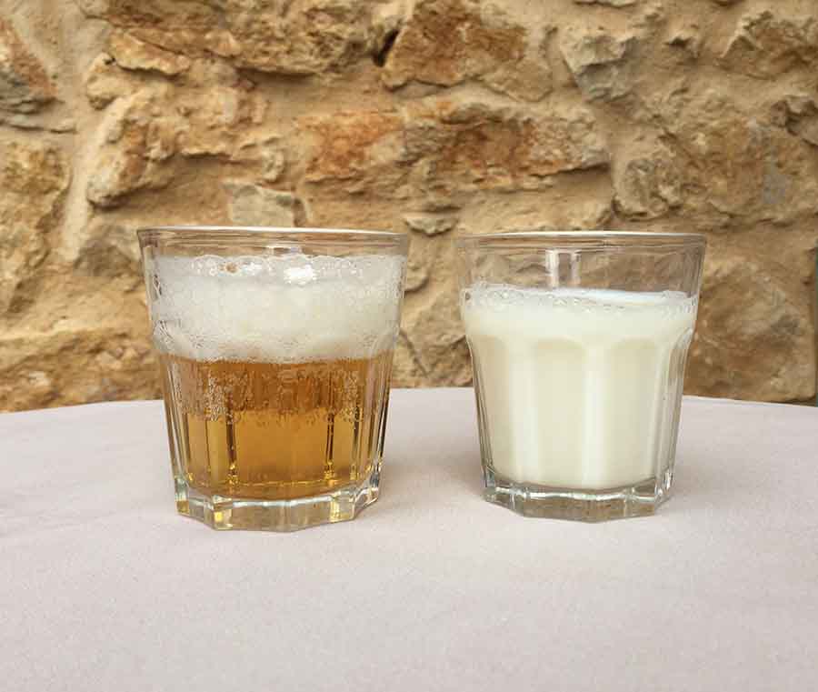 La Cerveza es más saludable que la leche