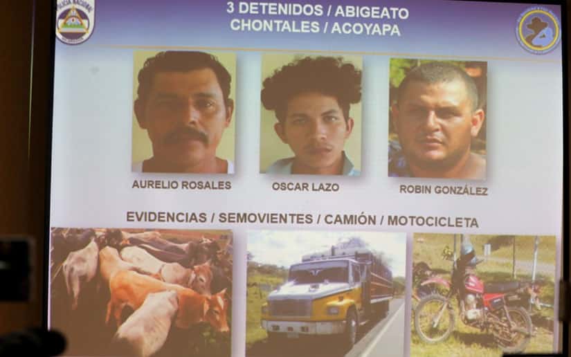 Detienen 13 delincuentes que asaltaban en el campo