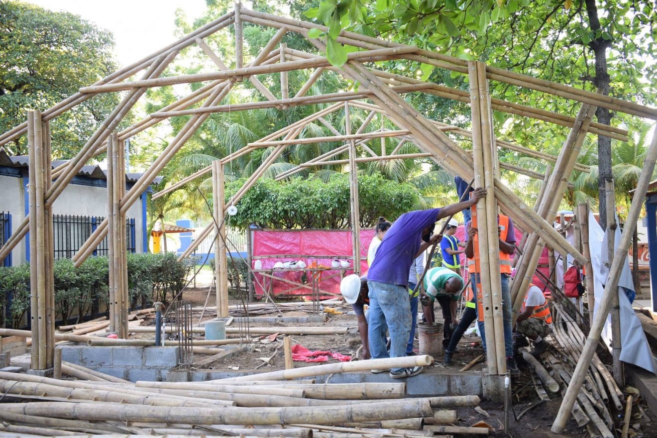 Los estudiantes construirán una casa modelo con bambú