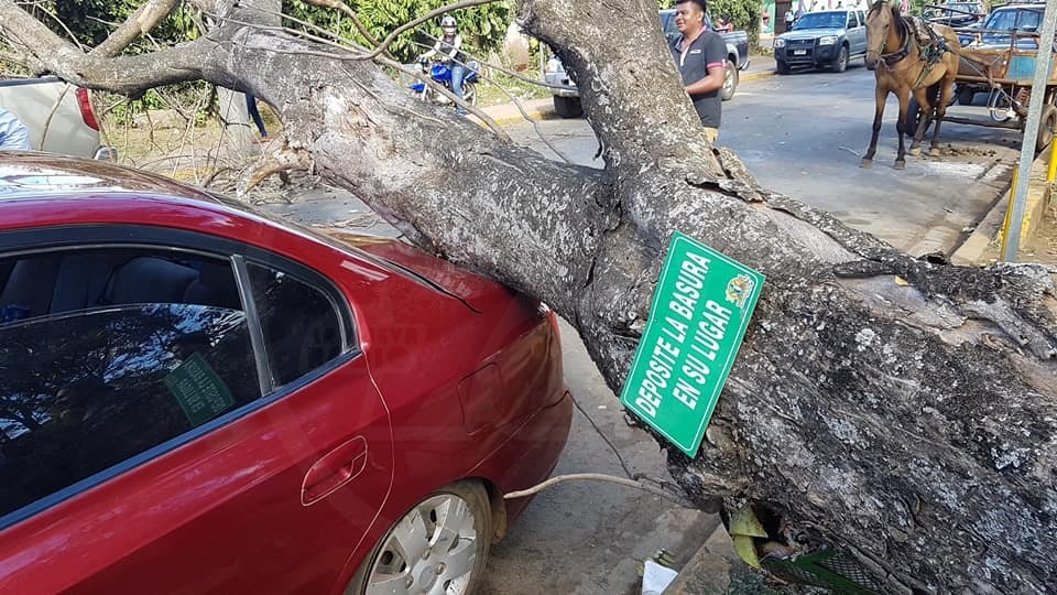 Así quedó el auto del nicaragüense