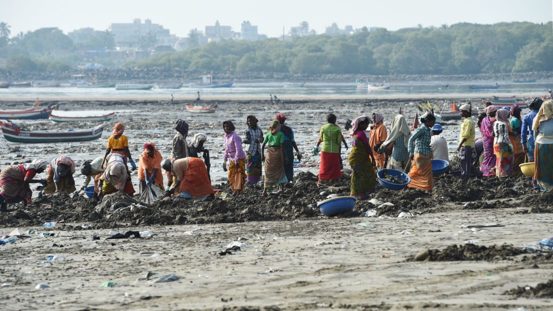 12 mil toneladas de plástico han removido de esta playa