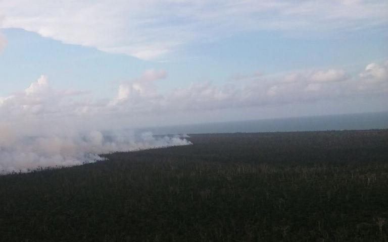 Compañera Rosario presenta informe sobre acciones del Ejército de Nicaragua para combatir incendio en Indio Maíz