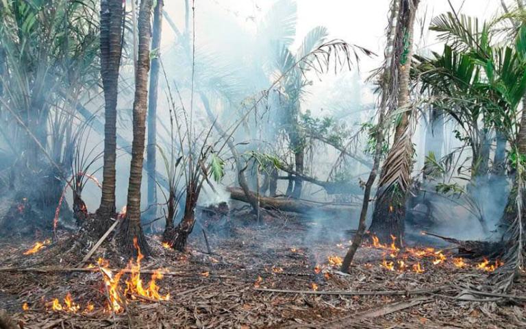 Más de 800 efectivos del Ejército combaten incendio en Indio Maíz
