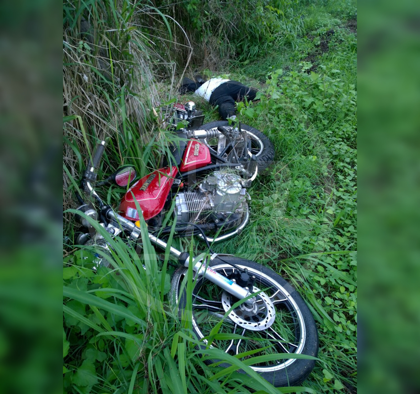 Se fue a estrellar contra uno de los árboles plantados a un lado de la vía