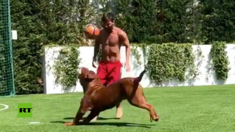 Messi vuelve loco a su enorme perro jugando al fútbol