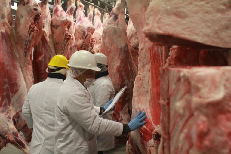 Nicaragua alcanza más de 200 millones de libras de carne bovina