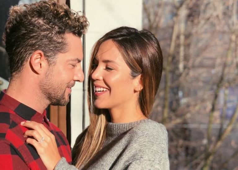 David Bisbal y Rosanna Zanetti esperan su primer hijo