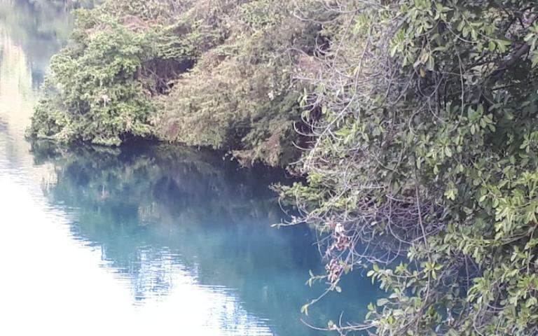 Laguna de Asososca presenta fenómeno “volteo térmico” por bajas temperaturas
