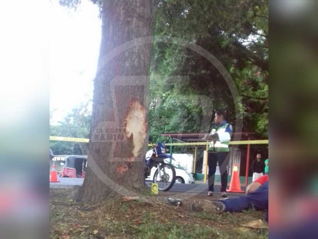 El árbol contra el que impactaron la motocicleta en que viajaban