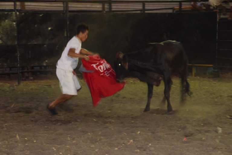 Muere inhalante de pega embestido por toro