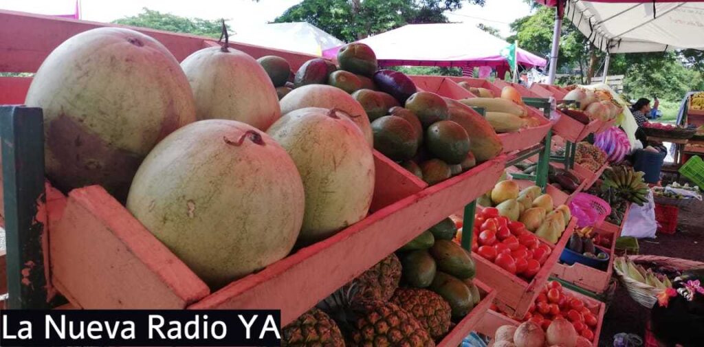 Verduras y Frutas en el Mercado Campesino