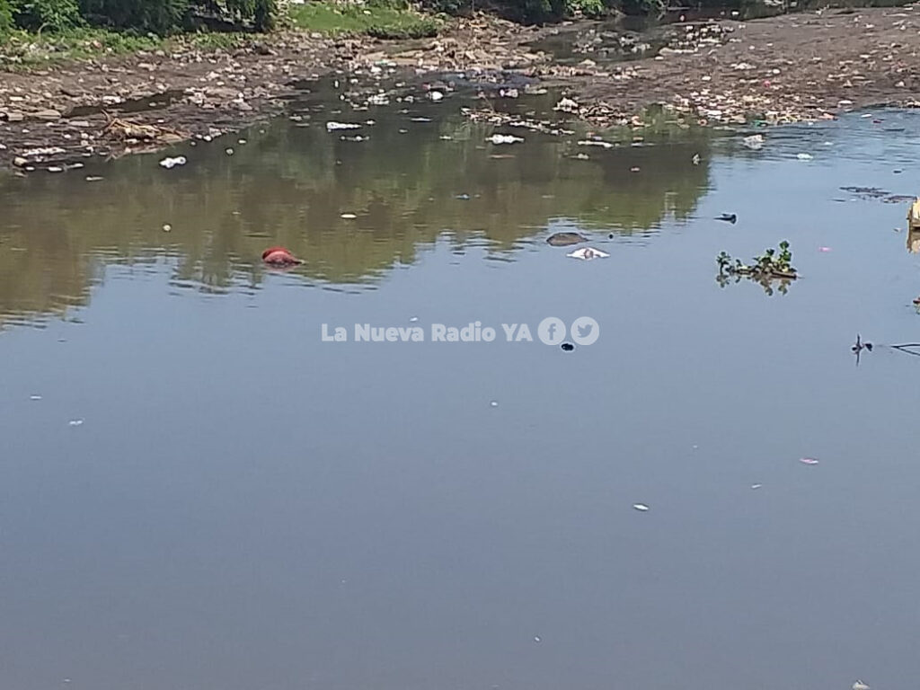 Lago Xolotlán ahogado