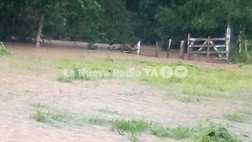 El río Chiwawa se desbordó este jueves