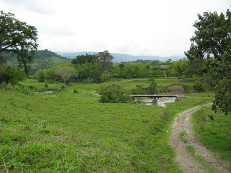 Cinco personas fueron asesinadas mientras acampaban en Colombia 