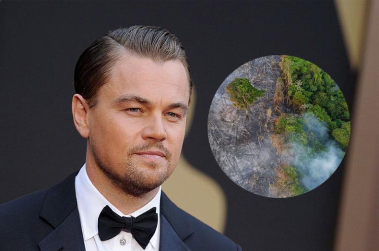 Leonardo DiCaprio dona 5 millones de euros para salvar el Amazonas