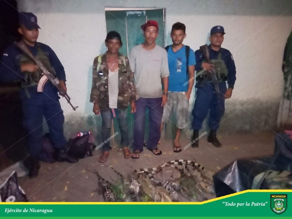 3 personas fueron detenidas por transportar ilegalmente especies protegidas en Chinandega