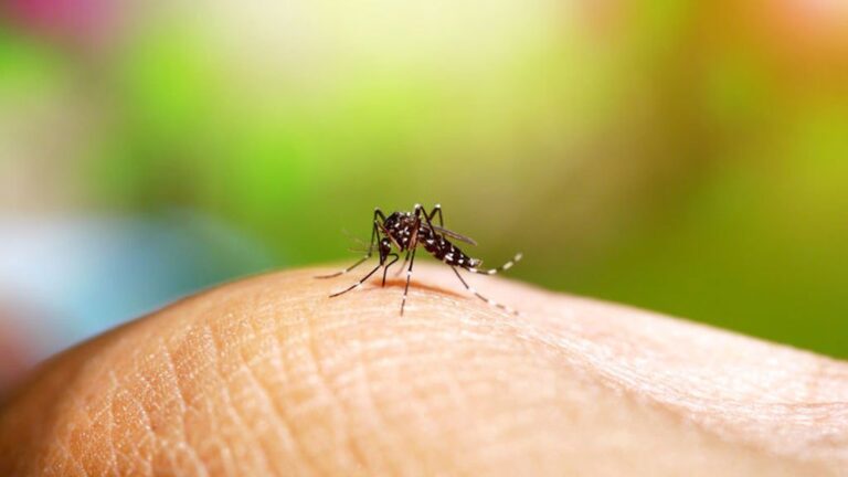 Disminuyen casos de Neumonía, Influenza y Malaria durante la última semana en Nicarauga