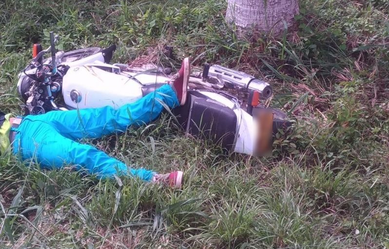 Un hombre perdió la vida tras estrellarse en su moto contra un árbol. Foto Referencial