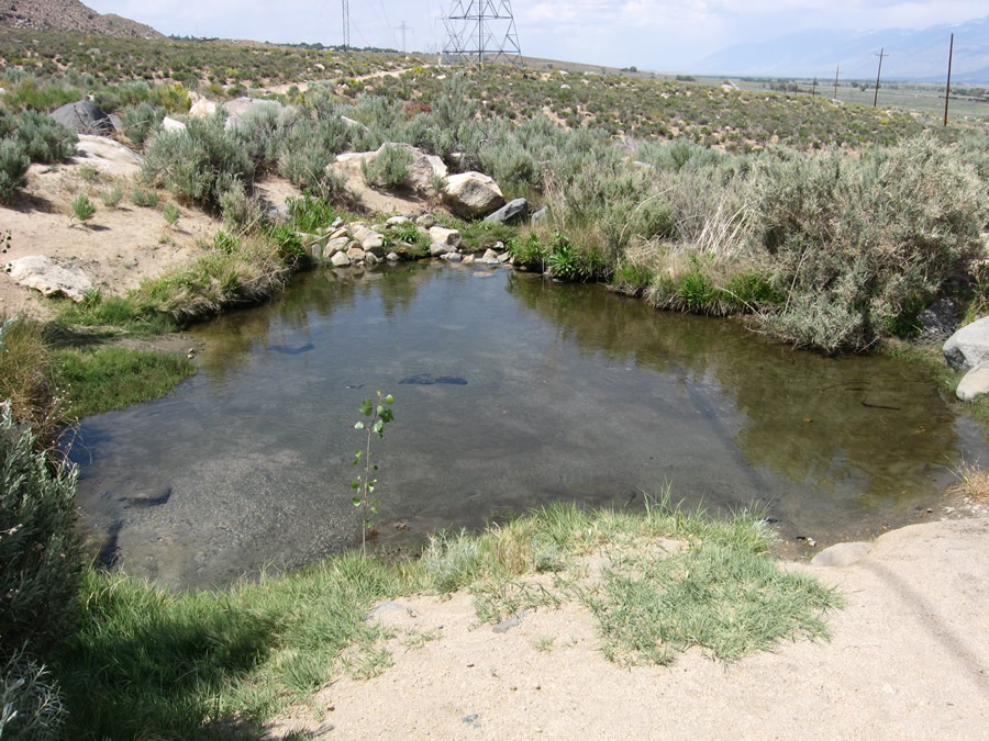 Niño muere tras contraer ameba en aguas termales de California