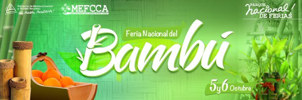 feria del bambú