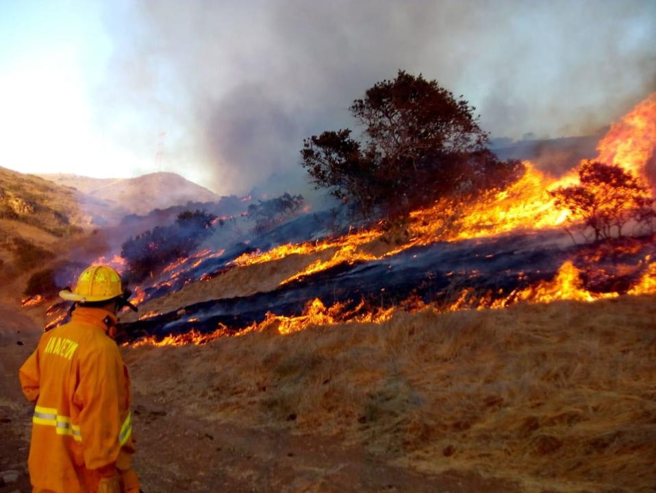 Incendio forestal en California 