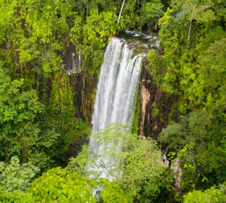 Reserva Indio Maíz