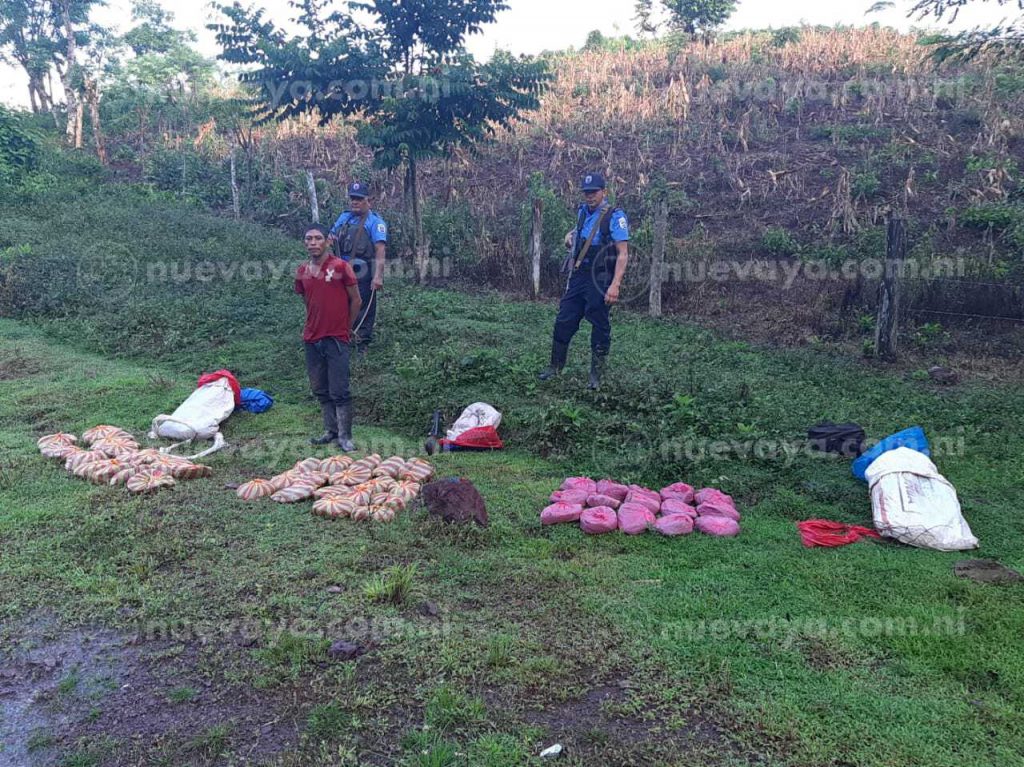 La Policía Nacional decomisó 47 tacos de marihuana 