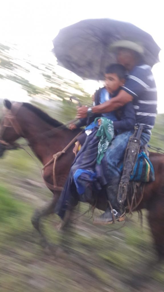 Niño mordido por serpiente barba amarilla