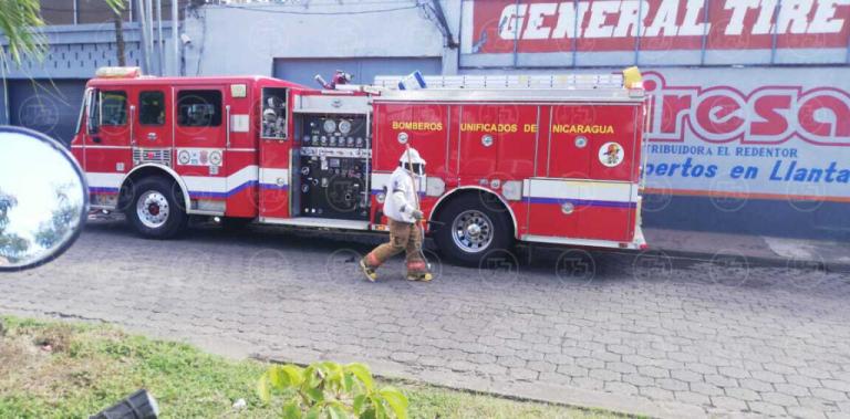 Abejas asesinas mandan al hospital a 30 personas, entre ellos 7 bomberos, en Managua