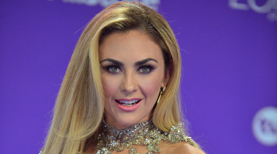 ¡Ya superó a Luis Miguel! Aracely Arámbula estrena novio