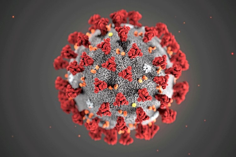 Recomendaciones ante el Coronavirus