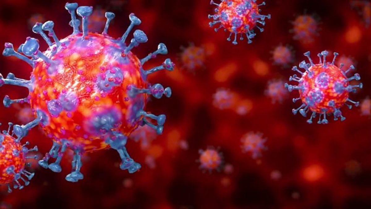 Un fármaco antiparasitario podría eliminar al coronavirus en 48 horas