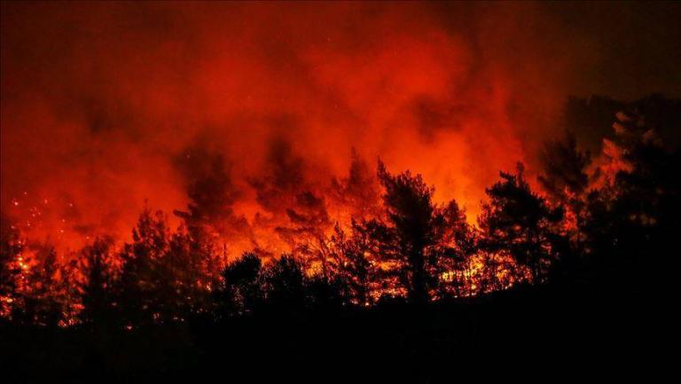 Amazonas en llamas: Brasil registró en junio el mayor número de incendios en 13 años