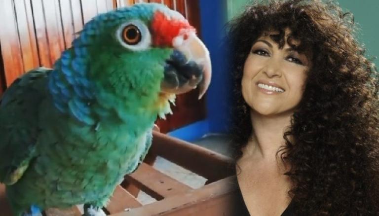 Sorprenden a loro cantando como Amanda Miguel