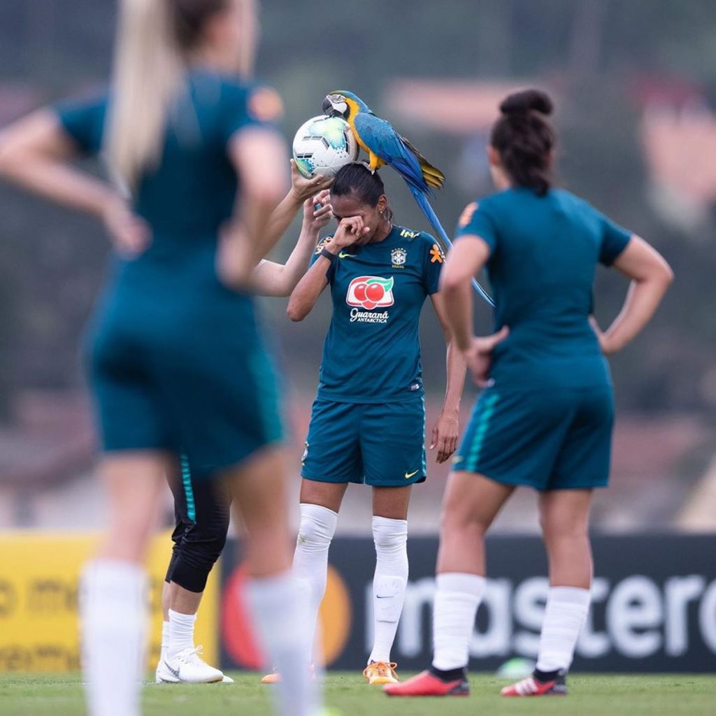 Así se posó la guacamaya sobre la cabeza de Bruna Benites