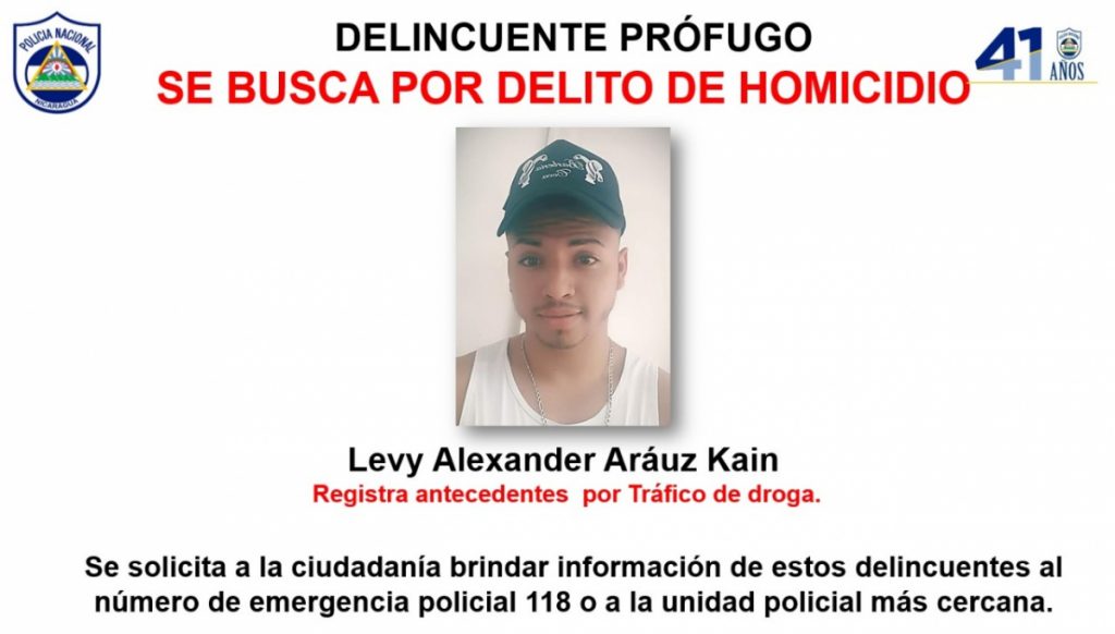 Levin Alexander Arauz Káin