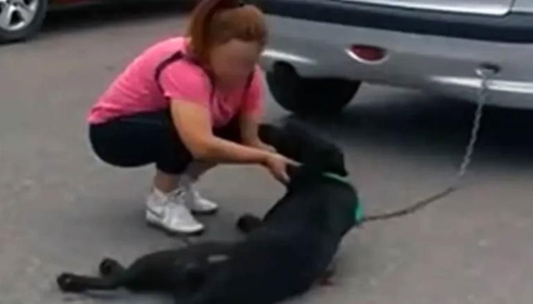 Mujer amarra a su perro al vehículo y lo arrastra por siete cuadras, en Argentina