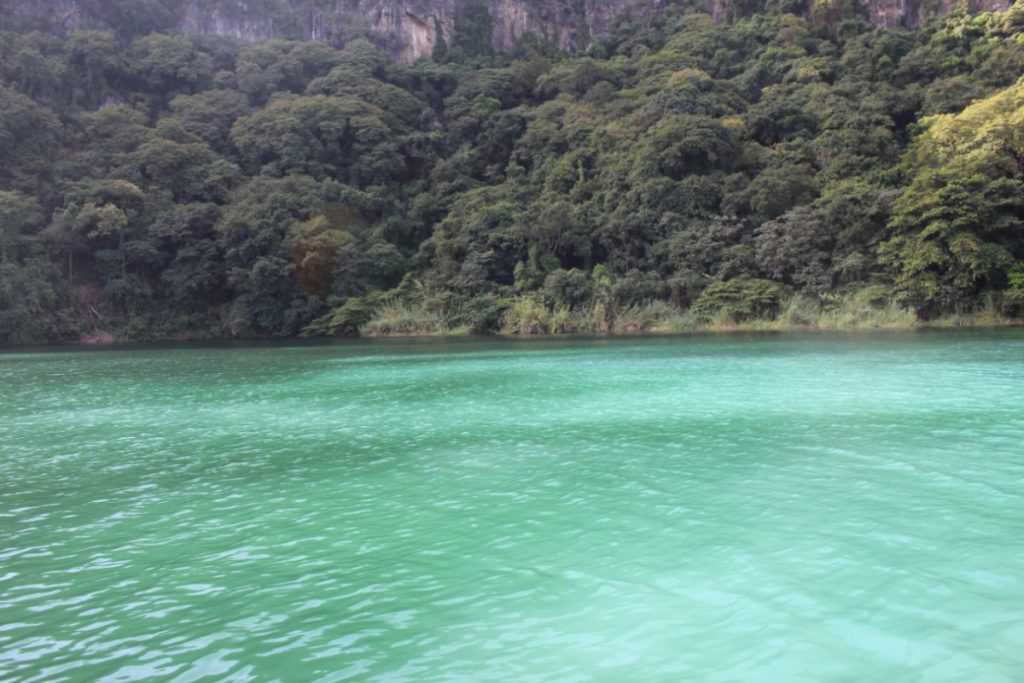 Laguna de asososca vista verde