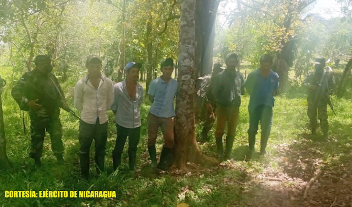 Ejercito de nicaragua captura a 10 abigeos y recupera 50 semovientes capturados